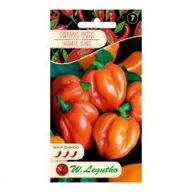 Nasiona i cebule - Legutko Papryka chińska HABANERO ORANGE nasiona tradycyjne 0.2 g - miniaturka - grafika 1
