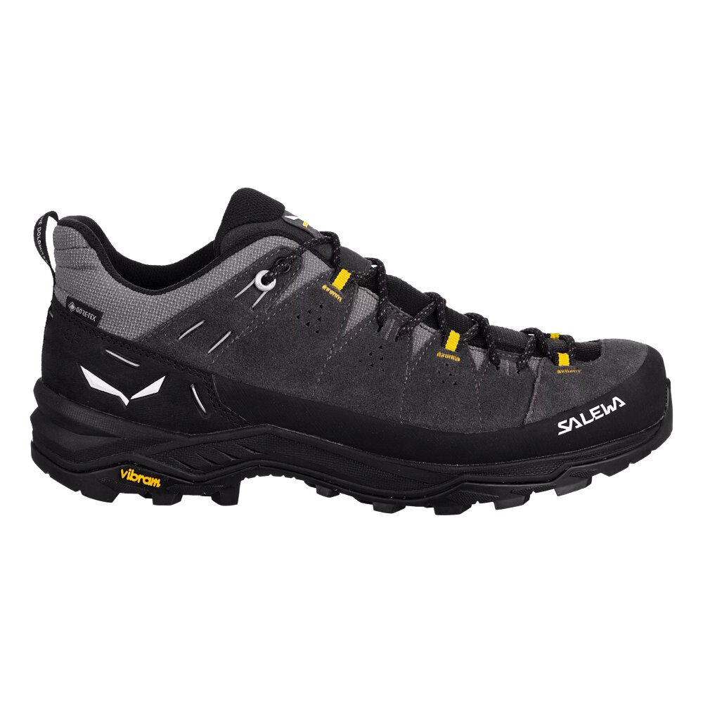Męskie buty outdoorowe Salewa Alp Trainer 2 Gtx M Onyx/Black UK 8