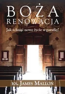 Religia i religioznawstwo - Boża renowacja. Jak tchnąć nowe życie w parafię? James Mallon - miniaturka - grafika 1
