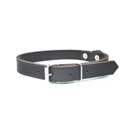 Obroże dla psów - Chaba Obroża skórzana brąz 16mm/45cm PCHB874 - miniaturka - grafika 1