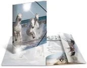 Teczki i skoroszyty - Teczka plastikowa A3 KONIE z gumkami - miniaturka - grafika 1