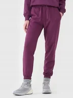 Spodnie damskie - Spodnie Damskie Dresowe 4f Xs Joggery Ttrof0993 Ss25 - miniaturka - grafika 1
