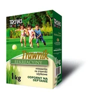 Trawy i trawniki - Trawnik Rekreacyjny 1 kg kartonik - miniaturka - grafika 1