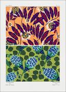 Plakaty - Vintage floral patterns, Art Nouveau flower pochoir stencil print, E. A. Séguy -  plakat Wymiar do wyboru: 70x100 cm - miniaturka - grafika 1