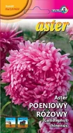 Nasiona i cebule - Aster peoniowy różowy Ofelia 1g / L / - miniaturka - grafika 1