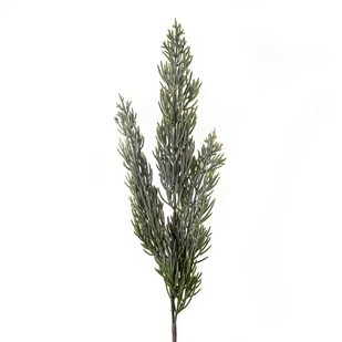 Gałązka tui 40 cm - Zabawki kreatywne - miniaturka - grafika 1