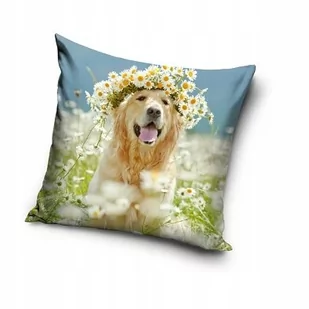 POSZEWKA na poduszkę PIES Golden retriever 40x40 - Poszewki na poduszki - miniaturka - grafika 1