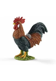 Kogut - Albumy krajoznawcze - miniaturka - grafika 1