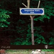Poezja - Osa - miniaturka - grafika 1