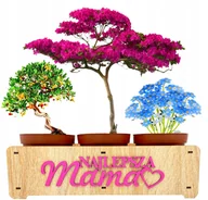 Nasiona i cebule - Prezent na Dzień Mamy Matki Drzewko szczęścia - miniaturka - grafika 1
