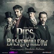 Audiobooki - kryminał, sensacja, thriller - Pies Baskerville'ów. Dziwne przygody Sherlocka Holmesa - miniaturka - grafika 1