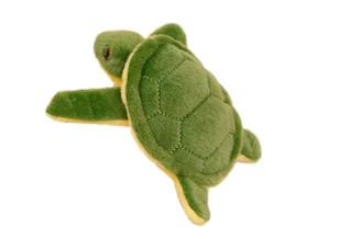Żółw Pluszowy Maskotka Brelok Piszczałka Zielony 15 Cm - Maskotki i pluszaki - miniaturka - grafika 1