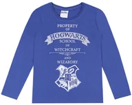 Bluzki damskie - Niebiesko-srebrna bluzka HOGWARTS Harry Potter 9 lat 134 cm - miniaturka - grafika 1