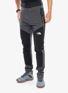 Spodnie The North Face Felik Slim Tapered Pant - asphalt grey/tnf black - Spodnie narciarskie - miniaturka - grafika 1