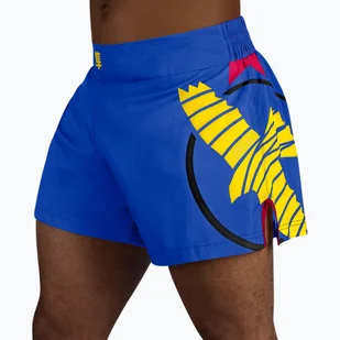 Spodenki treningowe męskie Hayabusa Icon Kickboxing - Kimona, stroje i obuwie - miniaturka - grafika 1