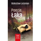 Poezja - Leśmian Bolesław Polska poezja XXw. Poezje. Łąka - miniaturka - grafika 1