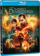 Filmy fantasy DVD - Fantastyczne Zwierzęta: Tajemnice Dumbledore`a (Blu-Ray) - miniaturka - grafika 1