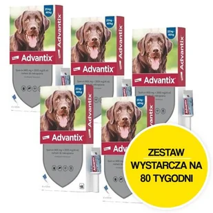 Krople na pchły i kleszcze BAYER Advantix Spot-on Duże psy (25-40 kg) 20 x 4 ml - Artykuły przeciw pasożytom - miniaturka - grafika 1