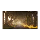 Foto gadżety - Foto obraz szkło hartowane Mgła w lesie - miniaturka - grafika 1