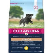 Sucha karma dla psów - Eukanuba Developing Junior Large Breed kurczak 3 kg - miniaturka - grafika 1