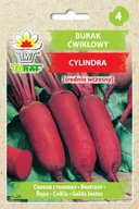 Nasiona i cebule - Burak ćwikłowy podłużny CYLINDRA Beta vulgaris L. - miniaturka - grafika 1