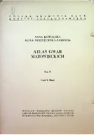 Felietony i reportaże - Atlas gwar mazowieckich Tom II Część I - miniaturka - grafika 1