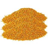 Miód - PYŁEK PSZCZELI kwiatowy 1000g 1kg Naturalna Odporność i Witaminy DOYPACK - miniaturka - grafika 1