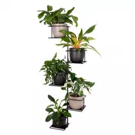 Kwietniki - Kwietnik Metalowy Na Ścianę Dżungla 3 / Domowe Kwietniki - miniaturka - grafika 1