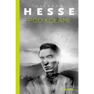 Pod kołami Hermann Hesse - Filozofia i socjologia - miniaturka - grafika 4