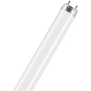 Osram L36/76 Świetlówka natura T8 L36/76 - Halogeny - miniaturka - grafika 1