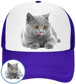 Czapki i chusty sportowe męskie - CZAPKA Z DASZKIEM KOTY KOTEK DLA DZIECI LATO NIEBIESKA BEJSBOLÓWKA - miniaturka - grafika 1