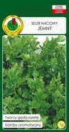 Nasiona i cebule - Seler naciowy Jemny 1 g PNOS - miniaturka - grafika 1