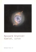 Poezja - Kamień, szron - miniaturka - grafika 1
