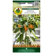 Nasiona i cebule - Papryka Snacking Orange nasiona 15szt. Pnos - miniaturka - grafika 1