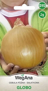 Cebula Globo 2g nasiona - WegAna - Nasiona i cebule - miniaturka - grafika 1