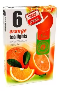 Admit Podgrzewacze zapachowe, pomarańcza, 6 szt. - Świece - miniaturka - grafika 1