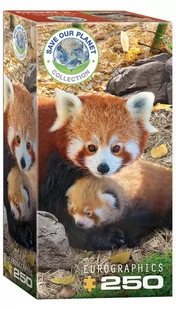 Eurographics Puzzle 250 Red Pandas 8251-5557 - - Puzzle - miniaturka - grafika 1