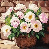 Malowanie po numerach - Malowanie po numerach - Delikatny aromat 40x40cm - miniaturka - grafika 1