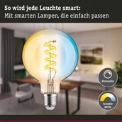 Żarówki LED - Paulmann globe LED G95 ZigBee E27 7,5W złota CCT - miniaturka - grafika 1