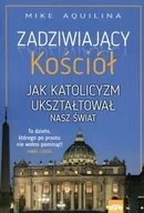 Religia i religioznawstwo - Zadziwiający kościół. Jak katolicyzm ukształtował nasz świat - miniaturka - grafika 1