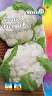 Nasiona i cebule - Kalafior Pionier 1g / L / - miniaturka - grafika 1