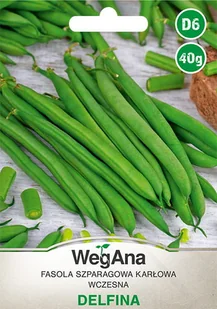 Fasola zwykła karłowa Delfina 40g nasiona - WegAna - Nasiona i cebule - miniaturka - grafika 1