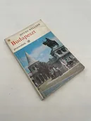Przewodniki - Istvan Wellner Budapeszt Istvan Wellner - miniaturka - grafika 1
