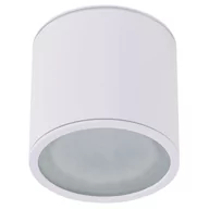 Lampy ogrodowe - AZZARDO ALIX AZ4055 downlight natynkowy 1x50W/GU10 IP65 AZ4055 - miniaturka - grafika 1