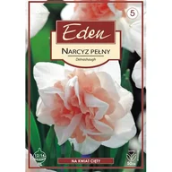 Nasiona i cebule - Narcyz Double Delnashaugh 5 sztuk Eden - miniaturka - grafika 1