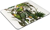 Podkładki pod mysz - Podkładka Carolina Parakeet James Audubon 60x40cm - miniaturka - grafika 1