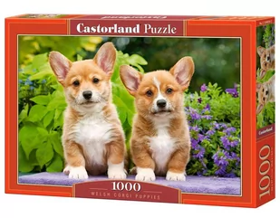 Puzzle 1000 Szczenięta Welsh Corgi C-104659-2 - Puzzle - miniaturka - grafika 1