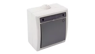 Berker światła Elektro-Plast Aquant IP55 natynkowy szary - Gniazdka elektryczne - miniaturka - grafika 1