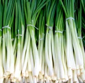 Nasiona i cebule - Cebula nasiona 2 g - miniaturka - grafika 1