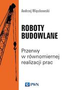 Nauka - Roboty Budowlane Przerwy W Równomiernej Realizacji Prac Andrzej Więckowski - miniaturka - grafika 1